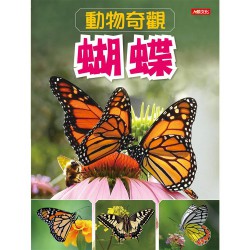 動物奇觀：蝴蝶